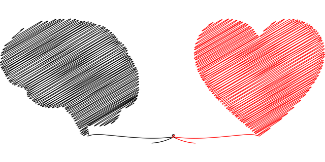 brain, heart, mind
